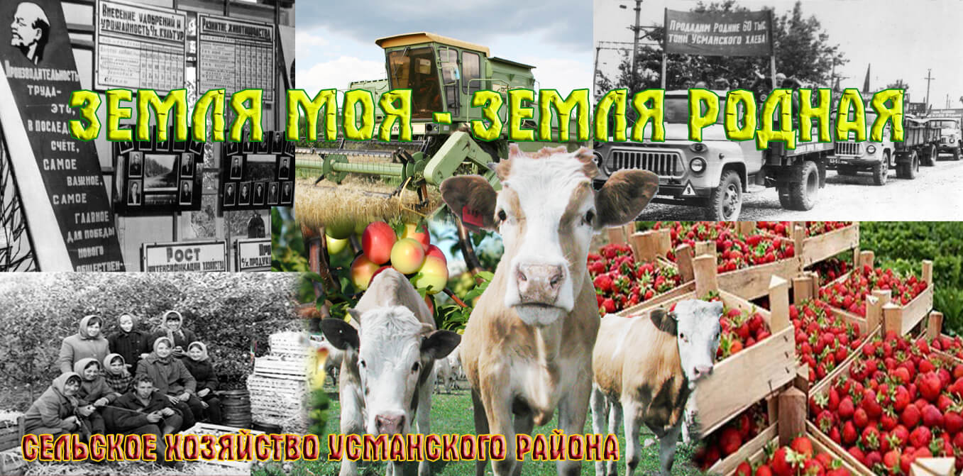 Сельское хозяйство Усманского района